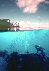 Truk lagoon; Housed Nikon F, 24mm Nikkor Lens by Rick Tegeler 